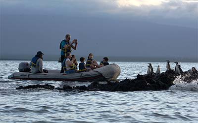 Diapositivas de actividades Galaxy Daily - Galagents Cruises